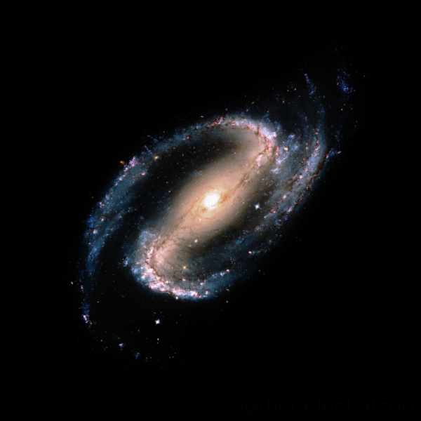 The core of the NGC 1300 galaxy