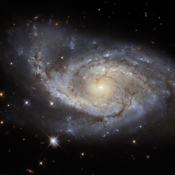 Hubble Sights a Sail of Stars