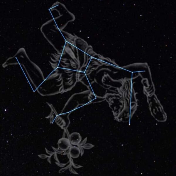 The Myth of Hercules' Constellation